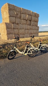 Onesport 20" Elektrofahrrad Pedelec, elektrisches Faltrad mit 48V/17Ah Akku, 250W Leistung Kunden-Foto 2