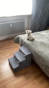 Juskys Haustiertreppe Timmy mit 3 Stufen in Plüsch - 36 cm hoch - für Bett & Sofa - Grau Kunden-Foto 3