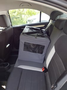 PawHut Hundetasche Hundebox mit Meshfenster, Katzentransportbox mit Kissen, Grau Kunden-Foto 2