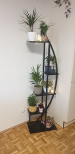 Tribesigns Blumenständer, 2 Stück Pflanzenregal mit 5 Ebenen und 2 Haken, 160cm Hoch Pflanzenständer Metall Blumenregal für Indoor Balkon(Mattschwarz) Kunden-Foto 7