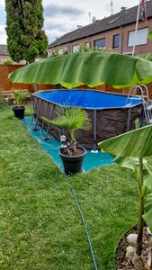 Sirocco Blue Runder Stahlrahmenpool 420 x 84 cm Kunden-Foto 2