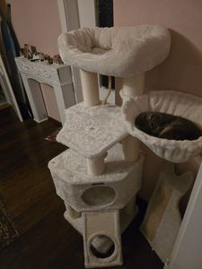 FEANDREA Kratzbaum 186 cm, Katzenbaum für große katzen, 13 dicken Säulen (11 cm d), stabil, Kippschutz, Tintenschwarz Kunden-Foto 14