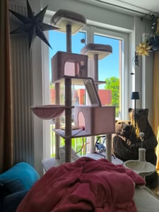 Feandrea Kratzbaum 206 cm, XXL, mit 13 Kratzsäulen, 2 Plattformen beige Kunden-Foto 7