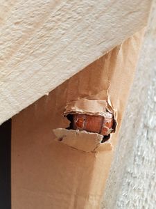 Holzofen WD 15 kW aus Stahl Graphitschwarz mit Sichtfenster 650x550x780 mm Kunden-Foto 2