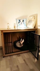 Feandrea Hundekäfig Möbel, Hundebox, moderne Hundehütte indoor für Hunde bis zu 32 kg, hochbelastbar, geschlossener Boden, 2 Türen, greige Kunden-Foto 6