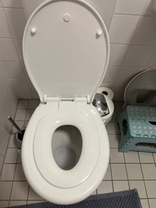 WOLTU Kinder Familien WC Deckel mit integriertem Kindersitz, abnehmbar, Weiß Kunden-Foto 2