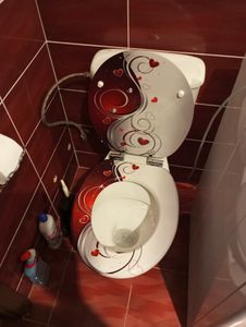 WOLTU WC Sitz, Toilettensitz mit Absenkautomatik aus MDF Holzmaserung Kunden-Foto 2