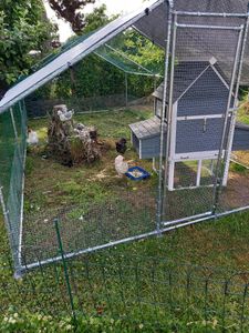 Kurník 2,5 x 2 x 2 m, kurník, klec pro drobná zvířata, výběh, výběh pro drobná zvířata, voliéra, venkovní výběh, klec pro slepice, drůbežárna, pozinkovaná ocel se střechou Fotografie od zákazníka č. 11