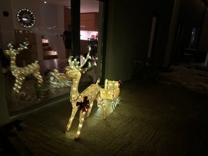 COSTWAY LED sob se saněmi a 100 teplými bílými světly, osvětlená vánoční postava soba, vánoční dekorace Vánoční osvětlení venkovní a vnitřní Fotografie od zákazníka č. 1