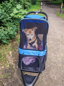 PawHut Hundebuggy mit Reflektoren, Faltbarer Katzenbuggy für Kleine Mittle Hunde Kunden-Foto 2