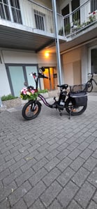 Runetic Ebike, Foldable e-bikes, 250W Motor, 36V 13Ah herausnehmbarer Akku, bis zu 80 km Reichweite, 25 km/h, 20" x 3,0" Breitreifen, Grün Kunden-Foto 9