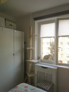 Fudajo kraboom, tot aan het plafond, 230–276 cm, beige. Kraboom voor katten met 4 niveaus, verstelbare hoogte, bevestiging aan het plafond. Kattenmeubel met sisal Klantenfoto 3
