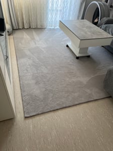 Waschbarer Teppich Wohnzimmer Kurzflor Einfarbiger Moderner Stil Weich Silber Grösse 200x280 cm Kunden-Foto 1