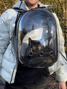 Tragerucksack für Katzen und Hunde, Haustier Rucksack bis 7 kg, Katzenrucksack, Hunderucksack, Reflektorstreifen, Tragetasche, Schwarz, Retoo Kunden-Foto 3