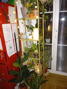 Regal, Bücherregal 5 Ebenen, Standregal aus Hartglas, Aufbewahrungsregal Kunden-Foto 1
