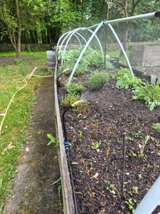 Garten Bewässerungssystem, Freie Biegung Sprühnebel Kühlung Bewässerung Kit mit 10 Nebeldüsen und 10M Schlauch, Tropfchenbewässerung Gartenbewässerung Wasserkühlung Wasserzerstäuber Kunden-Foto 3
