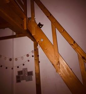 Katzenspielzeug, Satz 16-Katzenspielzeug mit Federn, Katzenspielzeug mit 2-teiliger einziehbarer interaktiver Katzenfischrute Kunden-Foto 1