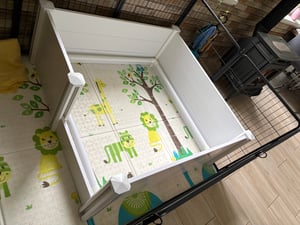 VEVOR Cassa da trasporto per cani, 1520x1520x610 mm, box per cuccioli in PVC plastificato con porta regolabile in altezza e tappetino lavabile, cassa per cuccioli di taglia extra large, bianco latte Foto del cliente 3