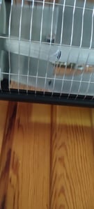 TRESKO Infrarot Heizstrahler 2500W schwarz mit Fernbedienung, Timer & Abdeckung | Wärmestrahler Terrasse elektrisch mit 3 Heizstufen | Terrassenstrahler Innen & Außen | Wand-Infrarotstrahler mit LED-Anzeige Quarzstrahler Wickeltischstrahler Kunden-Foto 1