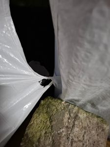 NAIZY Pavillon Wasserdicht - Partyzelt Gartenpavillon mit 8 Seitenwänden Camping Festpavillon für Garten, Party, Hochzeit (3 x 3m mit 4 Seitenwände, Weiß) Kunden-Foto 4