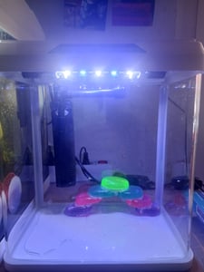 Kruger Meier Arona Aquarium 3l - aquarium noir Photo du client 2