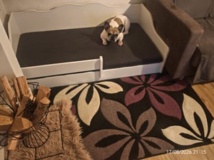 Łóżeczko podłogowe Montessori 140x70 bez materaca Biały EMMA Zdjęcie produktu od klienta nr 1