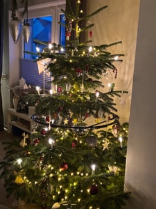 2.05 Treno per l'albero di Natale - Il treno di Natale attraversa l'albero di Natale Foto del cliente 2