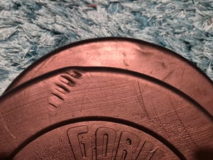 GORILLA SPORTS® Kurzhanteln 2er Set 20/30 kg, verstellbar, aus Kunststoff, mit 30-mm-Hantelscheiben Standard oder Gripper und Sternverschlüssen Kunden-Foto 2