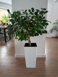 KADAX Blumentopf Set, Blumenkübel aus Kunststoff "Tuluza", Innen- und Außenbereich, Creme, 3er Set XXL Kunden-Foto 1