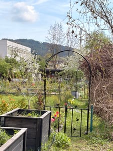 Rosenbogen Rosensäule verschiedene Modelle Metall Rankhilfe Rankgitter Garten, Model:1x Rosenbogen mit Tor - Stil 1 Kunden-Foto 1
