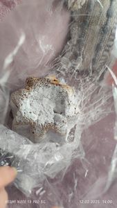 Balocco Il Pandoro Soffice Capolavoro 750g Kunden-Foto 2