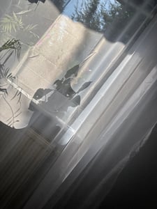 Vorhang Kräuselband weiß Emotion 140x245 cm Voile transparent Kunden-Foto 1
