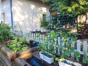 2er Set Rankgitter, Rankhilfe aus Metall, Gartenspalier Verformbar & Klappbar, Gurkenspalier mit Kabelbinder Clips Bodenpfaehlen, Gitterspalier für Kletterpflanzen, 122 x 86 cm Kunden-Foto 4