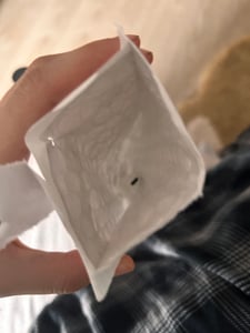Apple AirPods links Ersatz Ohrstück (2. Gen.) nur linker AirPod 2 einzeln Original Apple Produkt Kunden-Foto 7
