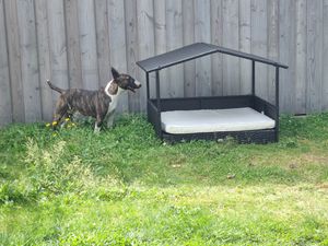 PawHut Rattan Hundehaus Hundebett Kissen Hausform Outdoor Hundehütte Stahl Kunststoff Kunden-Foto 1