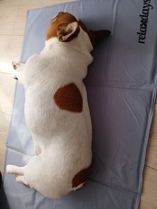 Kühlmatte