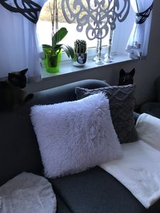 2er Set Kissenbezš¹ge Kš¹nstlich Pelz Sofakissen Dekorative Dekokissen Kuschelkissen Plš¹schkissen Kuschelig Couchkissen Superweich Kissen Flauschig Kissenbezug fš¹r Sofa Kunden-Foto 1