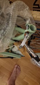 Bergsteiger Florenz 28 Zoll Damenfahrrad, ab 160 cm, Korb, Fahrrad-Licht, Shimano 7 Gang-Schaltung, Standlichtfunktion, Damen-Citybike, Damenrad im Retro-Design Kunden-Foto 1