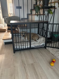 WISFOR Hundekäfig mit 3 Türen, Hundebox Hundehaus mit Tischoberfläche, Transportbox Drahtkäfig, Hundekiste Beistelltisch, M: 78.5x56.8x65cm, schwarz Kunden-Foto 3