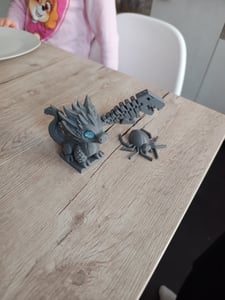 Anycubic Kobra 2 Neo 3D-Drucker Kunden-Foto 2