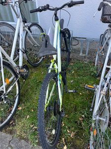 für den Preis gibt es bessere