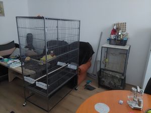 PawHut ptačí klec Vogelbauer s bidýlky, ptačí domeček s odkládací plochou a kolečky, ocel Fotografie od zákazníka č. 1