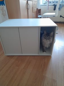 SONGMICS HOME Katzentoilette Push-to-Open Türen, werkzeuglose Montage, für große Katzen, Katzenklo-Schrank Schneeweiß Kunden-Foto 1
