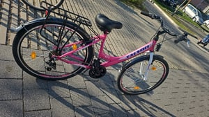 Talson Mädchen-Fahrrad 24 Zoll, 21-GG-Shimano, mit Beleuchtung und Gepäckträger, Farbe Rosa Kunden-Foto 1