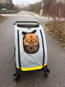 WISFOR Hundebuggy Faltbar, XL Hundewagen für mittelgroße und große Hunde bis 65kg,  Hundeanhänger Hundetasche mit verstellbar Griff Kunden-Foto 10