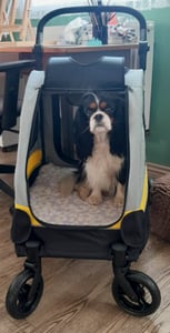 WISFOR 2-in-1 hondenbuggy, hondenbox, hondenwagen, opvouwbaar tot 20 kg, huisdierenbuggy met netvensters, verstelbare handgreep, geschikt voor katten en honden Klantenfoto 24