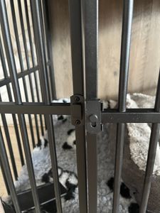 Feandrea Hundekäfig Möbel, Hundebox, moderne Hundehütte indoor für Hunde bis zu 32 kg, hochbelastbar, geschlossener Boden, 2 Türen, greige Kunden-Foto 5