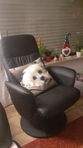 HOMCOM relaxfauteuil met voetenbank, tv-fauteuil met ligfunctie, zwart Klantenfoto 1