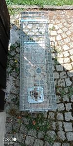 Petigi Tierfalle Lebendfalle für kleine bis mittelgroße Tiere wie Maus, Katze, Marder, Fuchs, Otter, Kaninchen, Modell: , Größe / Modell:Stable 6 (120 x 34 x 42 cm) Kunden-Foto 3