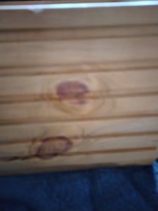 KOTARBAU® Blumenkasten aus Holz 44x20cm mit Innentopf Balkonkasten Weiß Balkontopf Blumentopf Pflanzkübel Holzblumentopf Blumenkasten Blumenkübel outdoor Balkon Garten Terrassen Kasten mit Einsatz Kunden-Foto 10